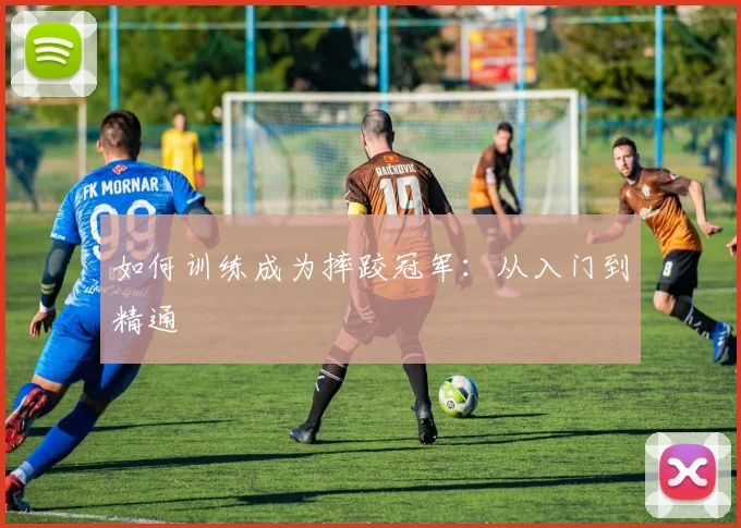 如何训练成为摔跤冠军：从入门到精通